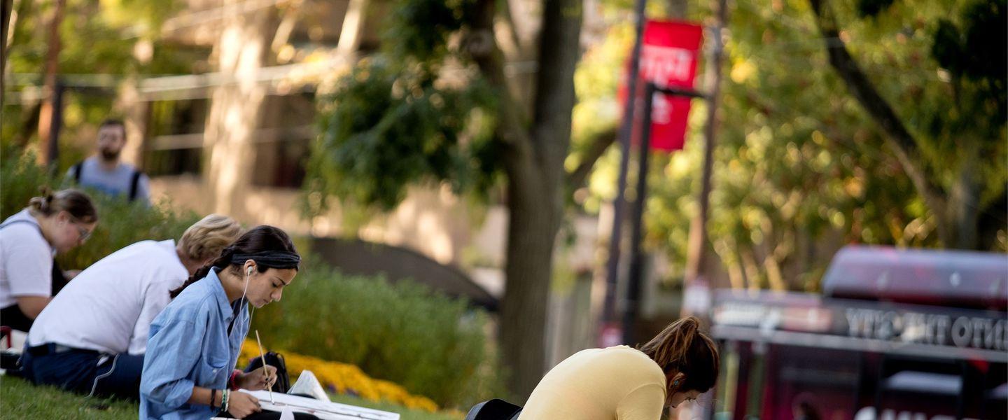 students studying on campus on a spring day