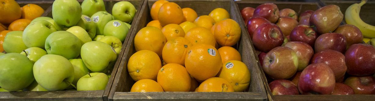 Bushels of fruits and vegetables on display on Temple campus.