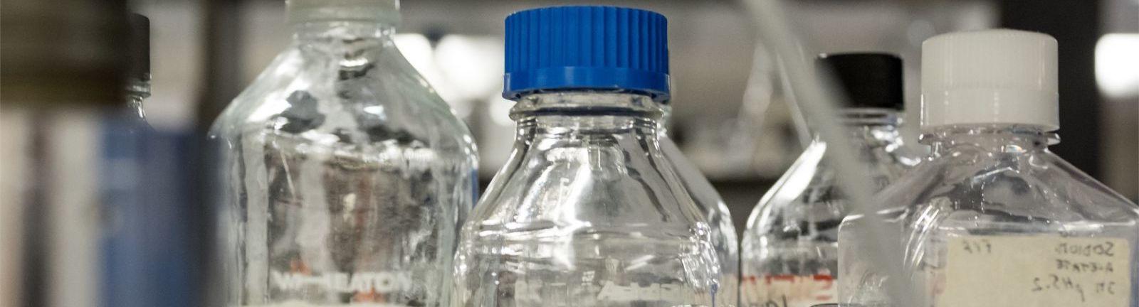 Beakers and glass bottles in a chemistry lab at Temple. 