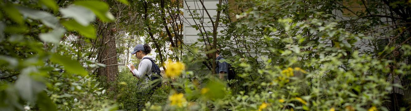 An image of a student doing research outside immersed in nature