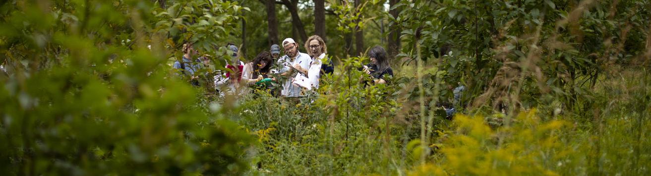 An image of students examining a plant outside