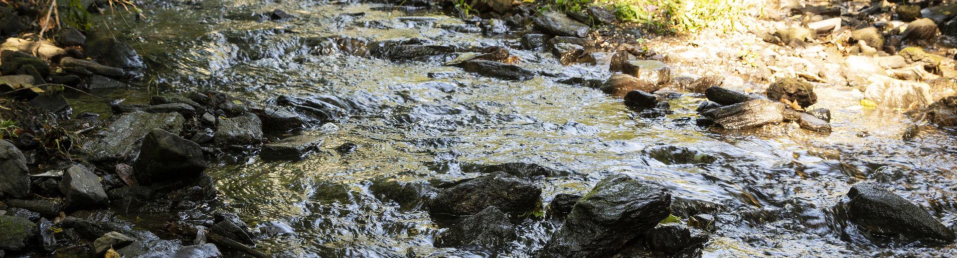 water moving down the creek.