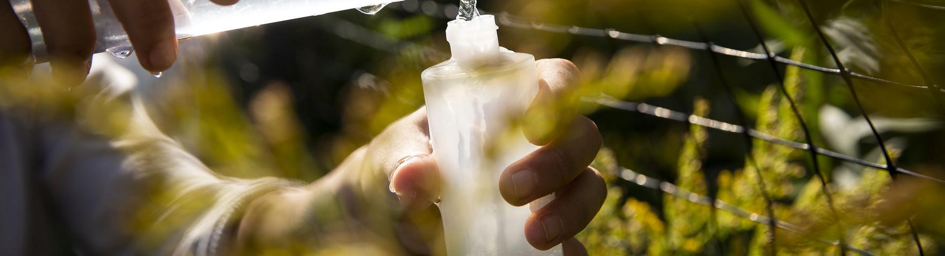 Biology student transferring water to a receptacle in the field