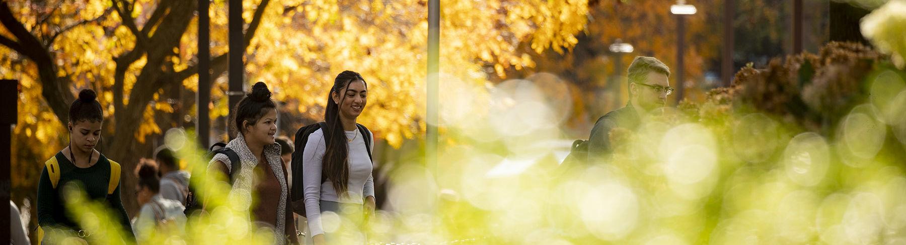 Students walk across Main Campus on a sunny fall day.