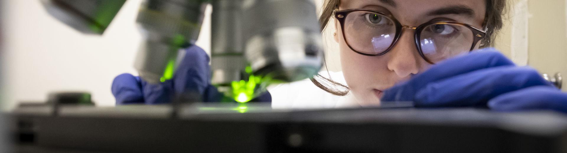 A student working in a research lab.