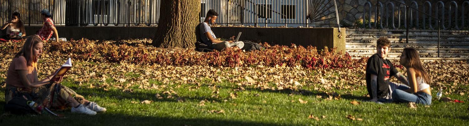 Students sit on the grass in Main Campus.