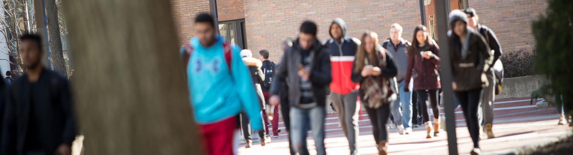 学生们在换班期间走在大学校园里