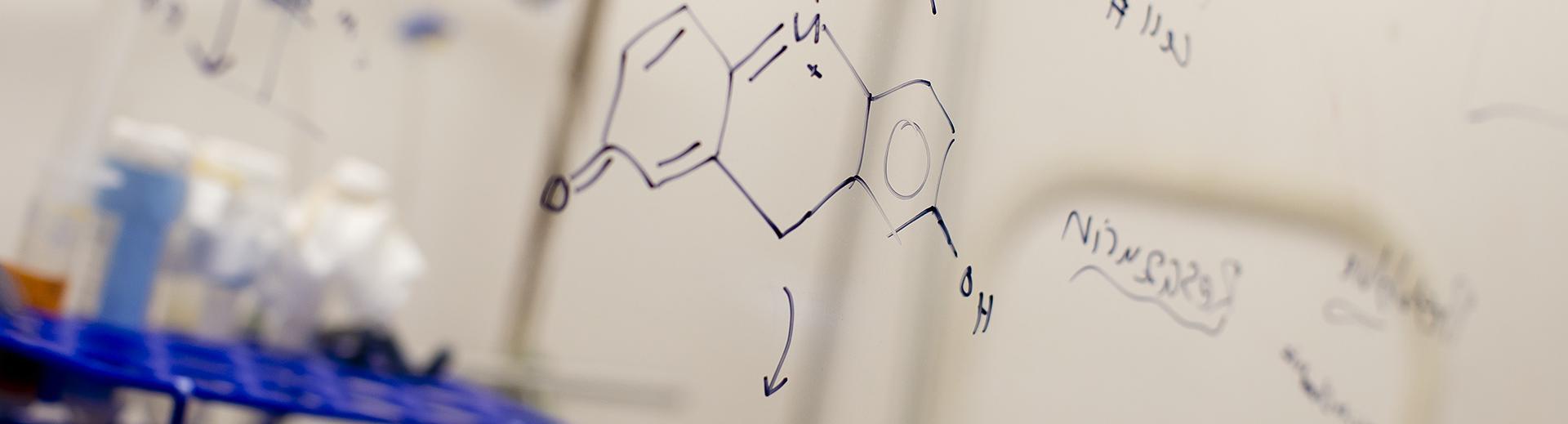 Formulas written on board in a bioengineering classroom