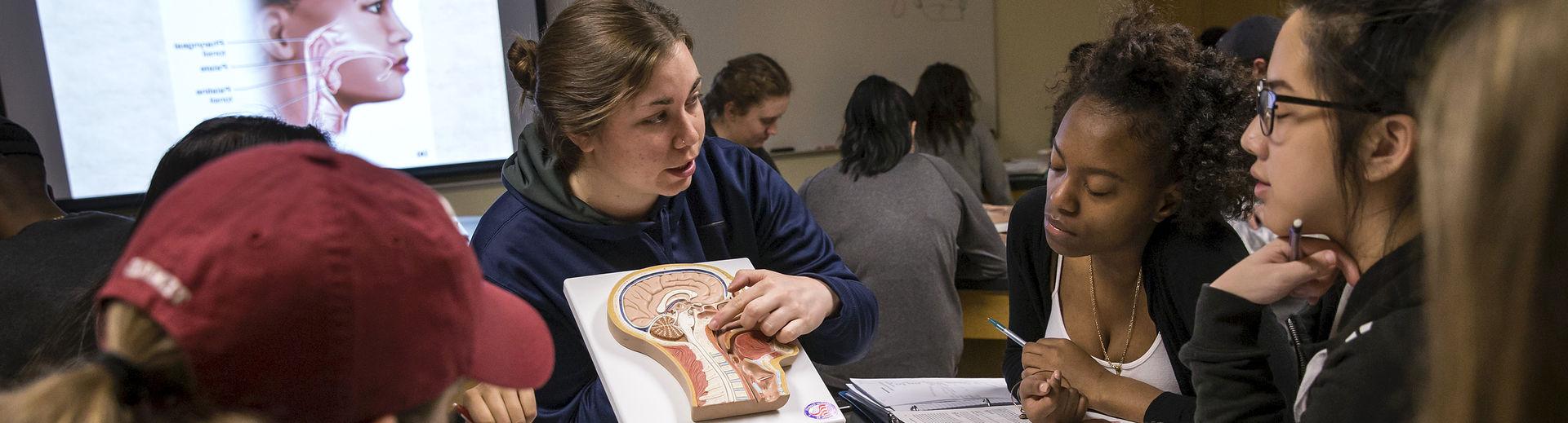 Temple students in a Health Studies class.