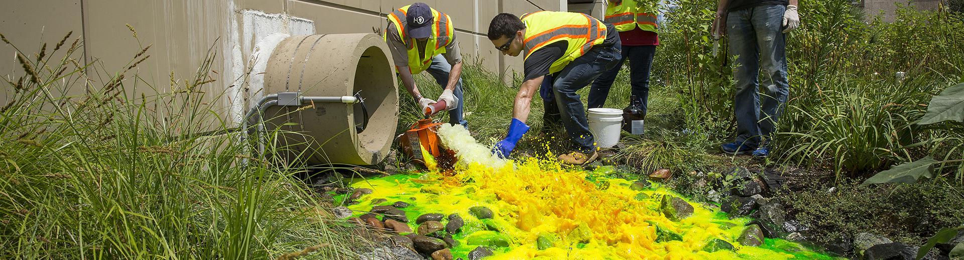 Stormwater management students cleaning up a stream 